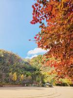 차산의 가을