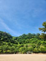 차산의 여름